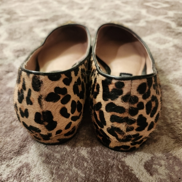 Steven By Steve Madden Calf Hair Leapord Print Point Flats 7.5 EUC - Picture 4 of 12
